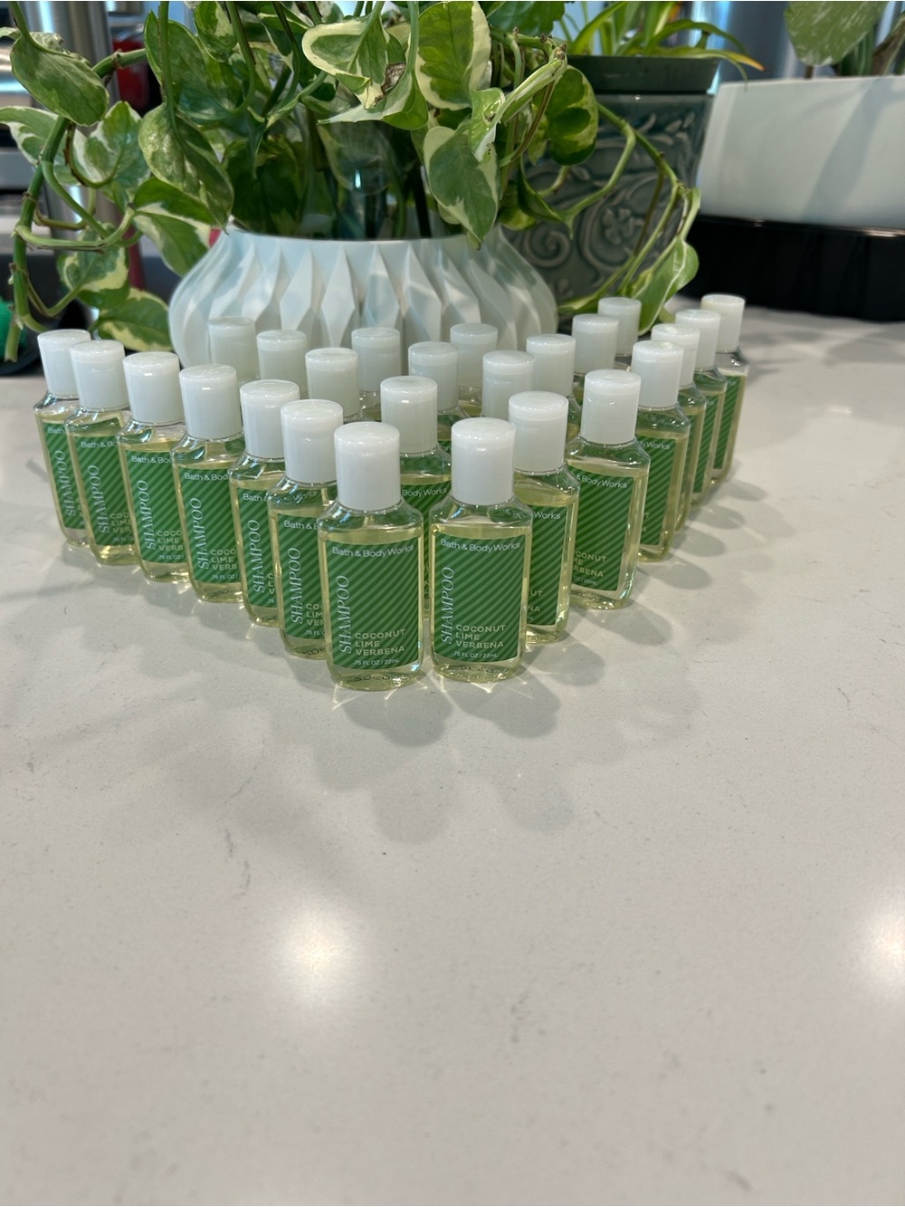 Bath & Body works lime coconut verbena shampoo travel size (25)